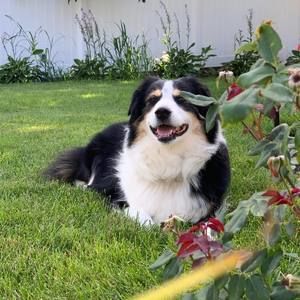 Meet your Posher, Raquel